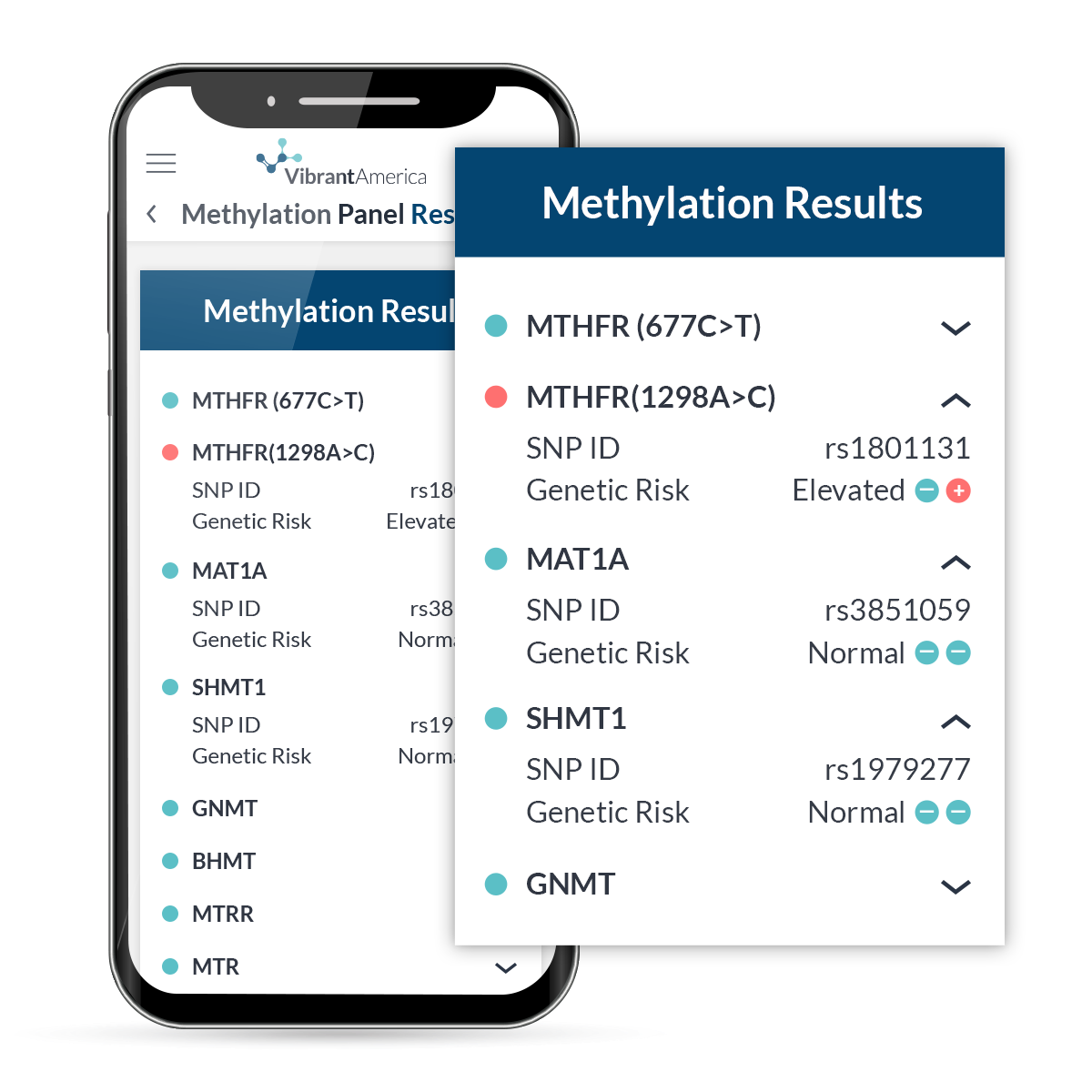 MethyIation Test Panel