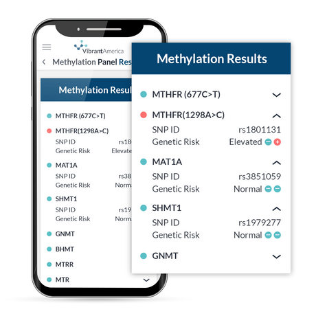 MethyIation Test Panel