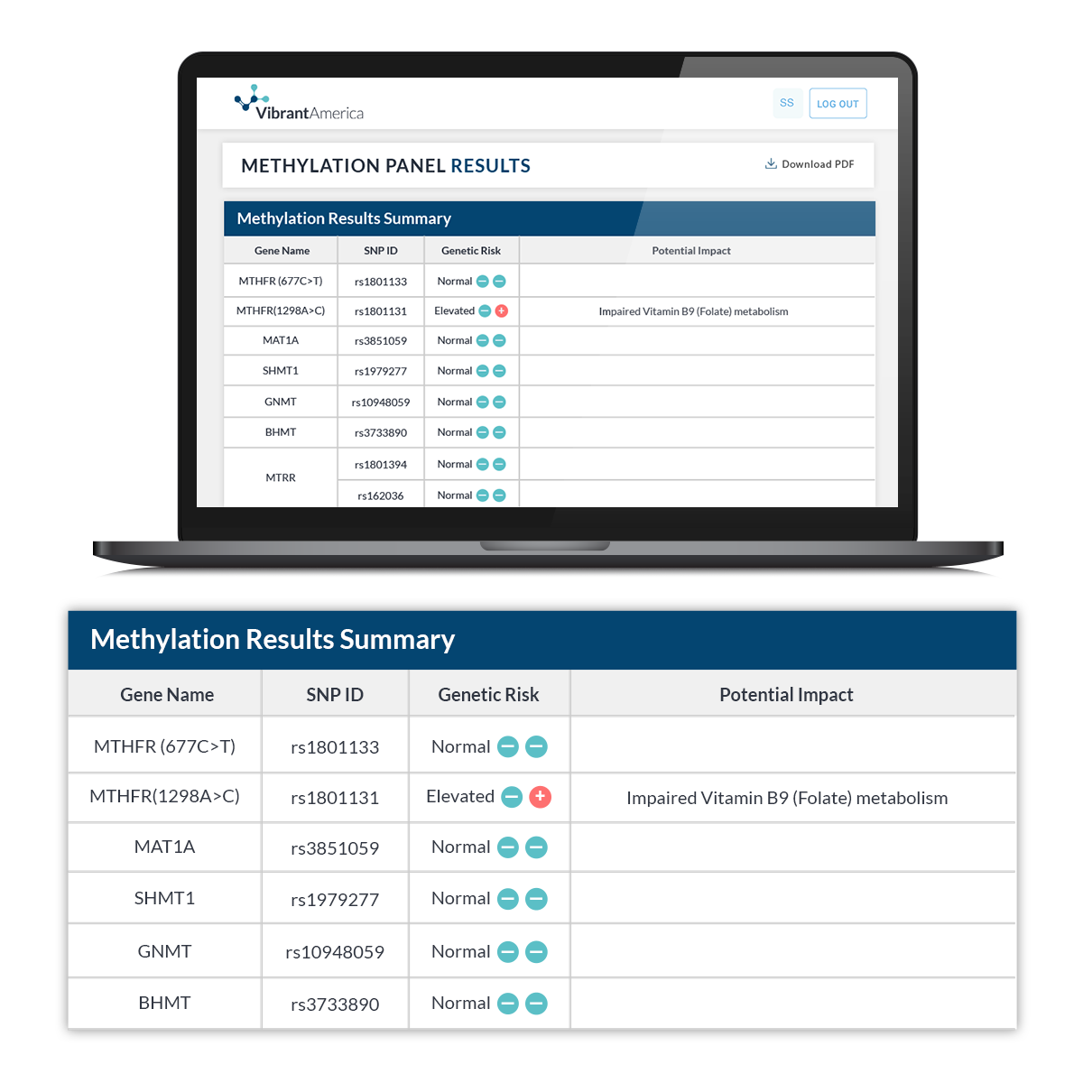 MethyIation Test Panel