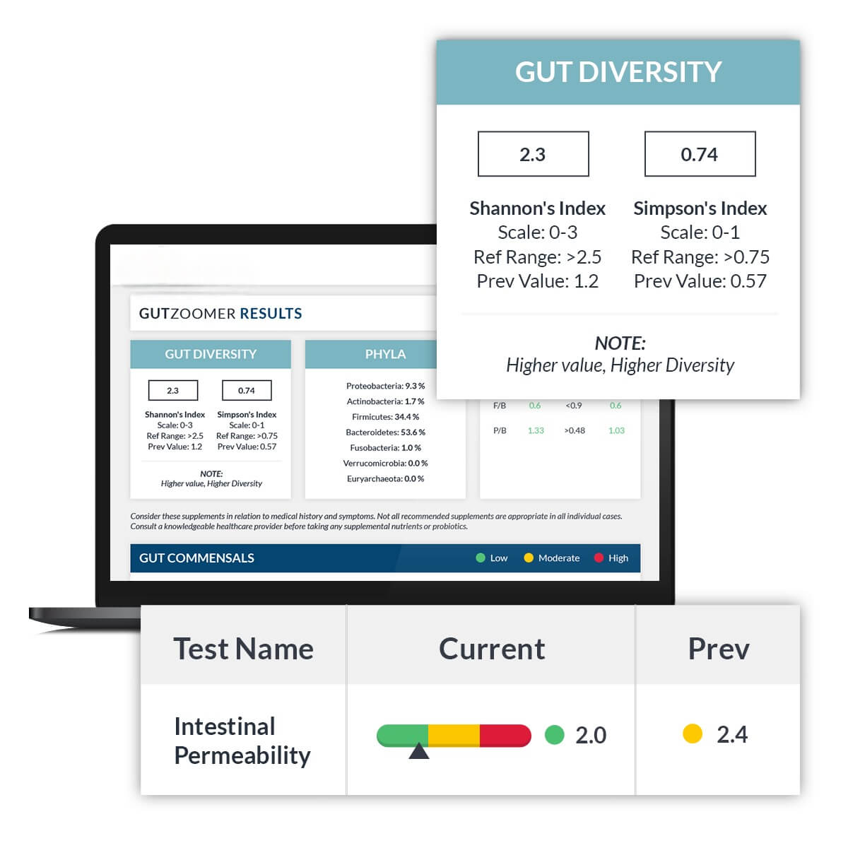 Gut Zoomer Test