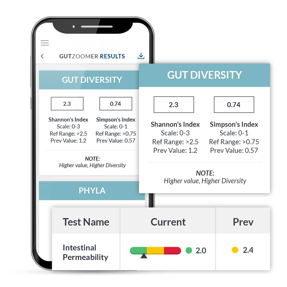 Gut Zoomer Test